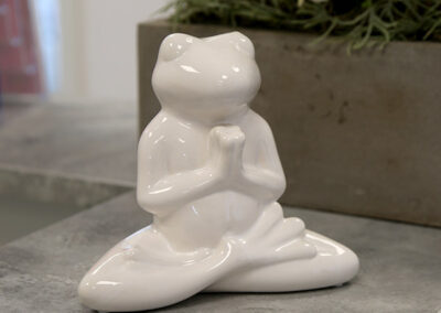 Buddha Frosch